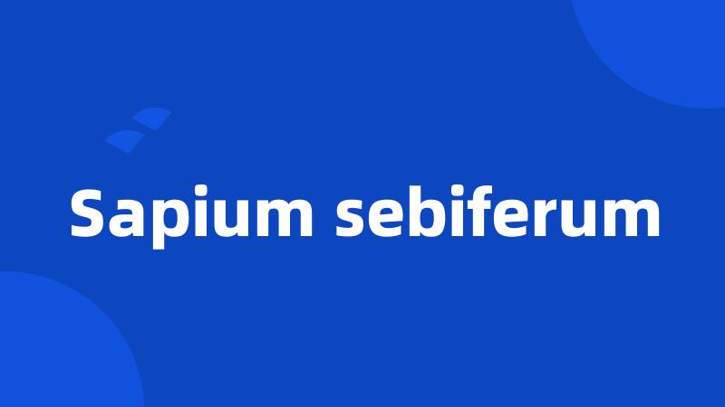 Sapium sebiferum