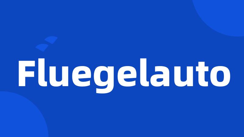 Fluegelauto