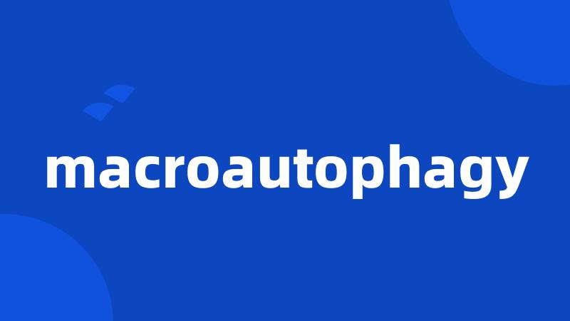 macroautophagy