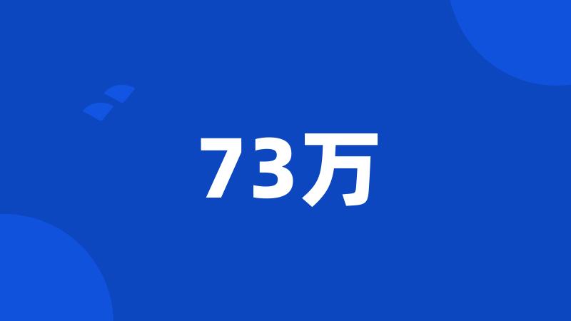 73万