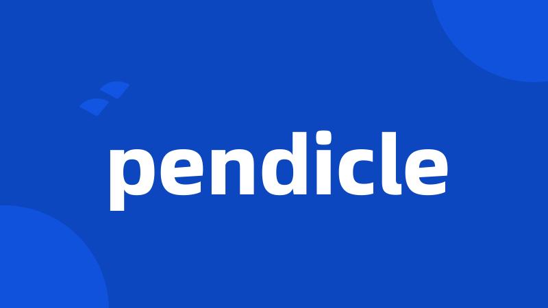 pendicle