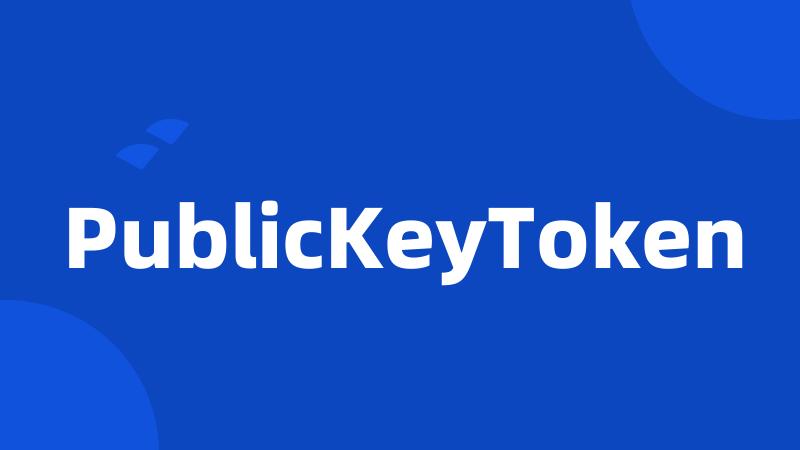 PublicKeyToken