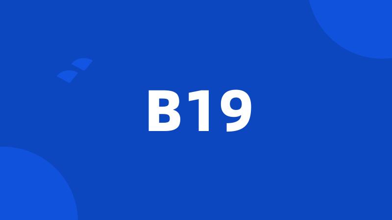 B19