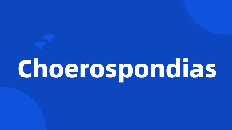 Choerospondias