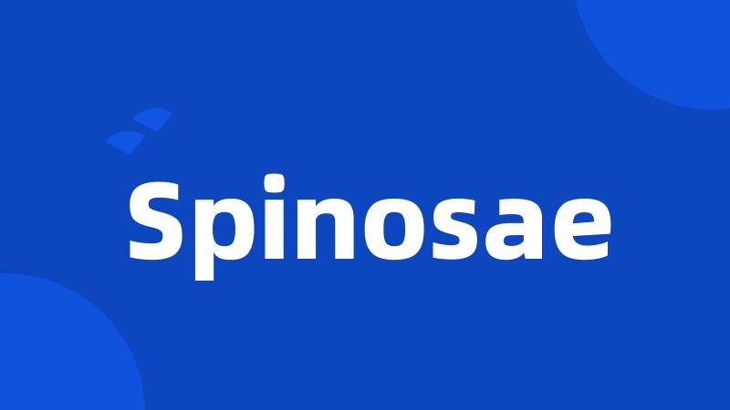 Spinosae