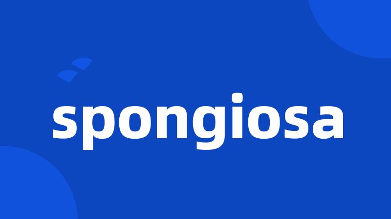 spongiosa