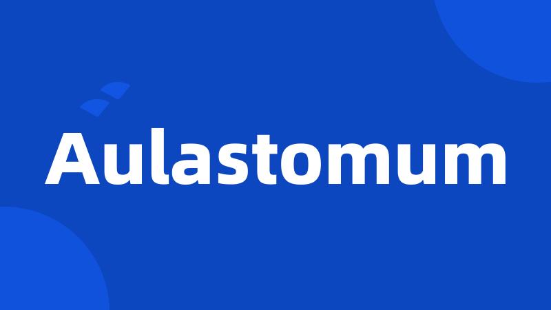 Aulastomum