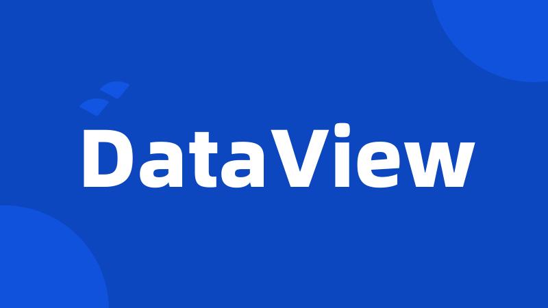 DataView