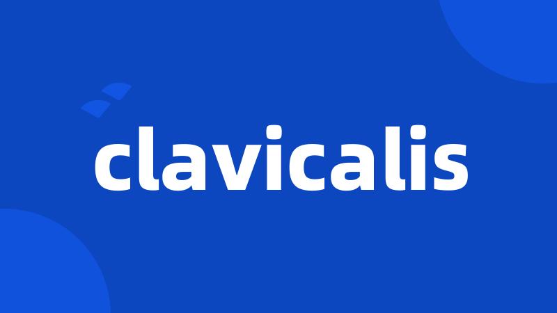 clavicalis