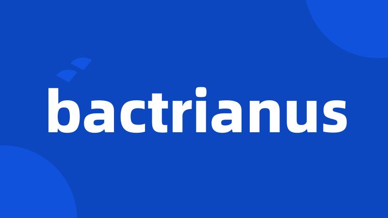 bactrianus