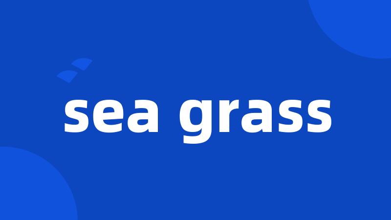 sea grass