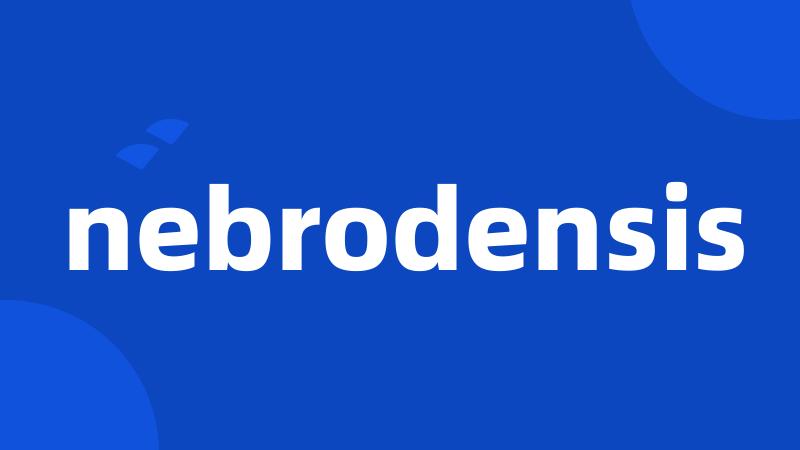 nebrodensis