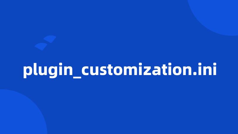 plugin_customization.ini