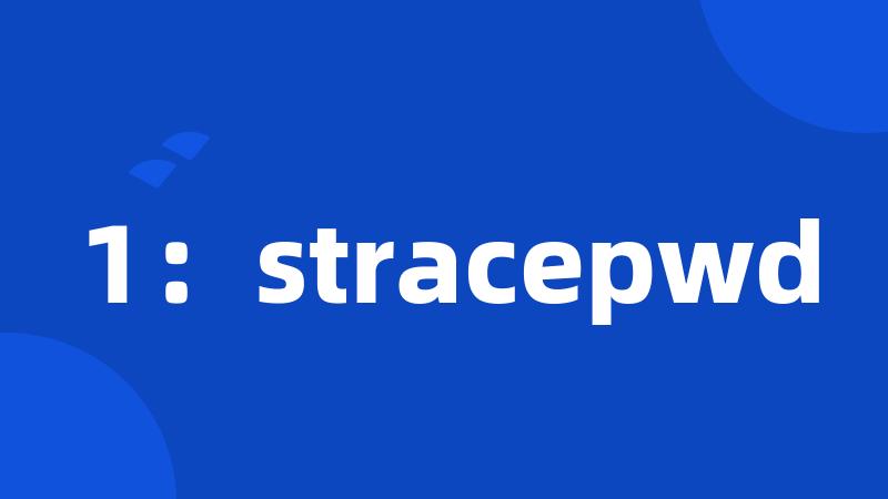 1：stracepwd