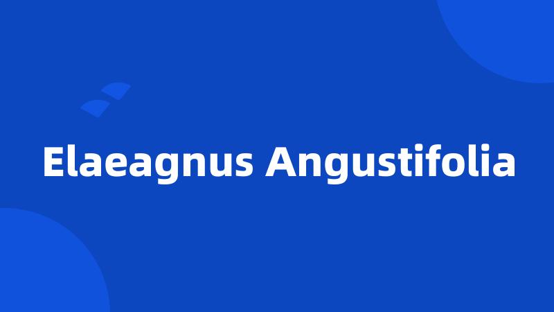 Elaeagnus Angustifolia