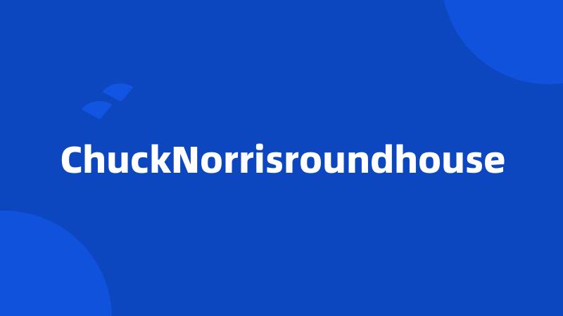 ChuckNorrisroundhouse