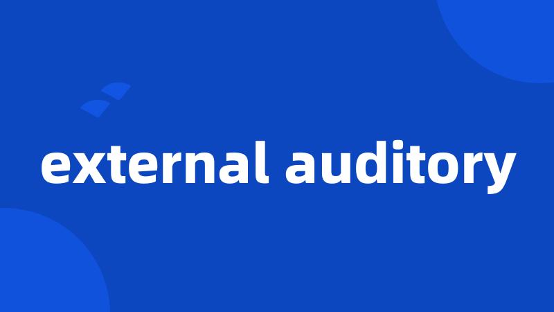 external auditory