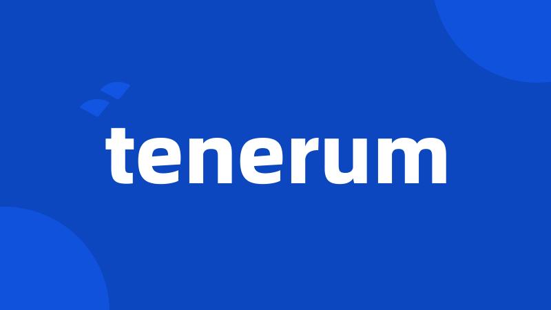 tenerum