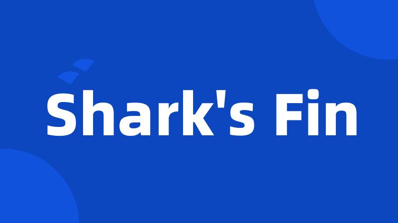 Shark's Fin
