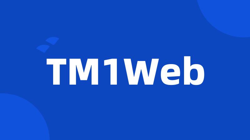 TM1Web