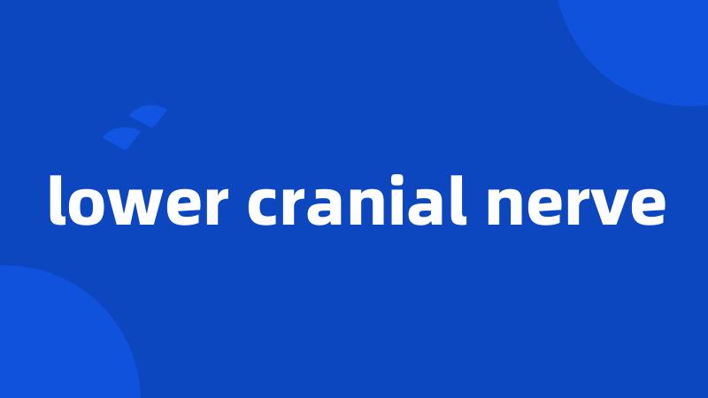 lower cranial nerve
