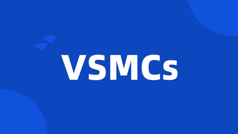 VSMCs