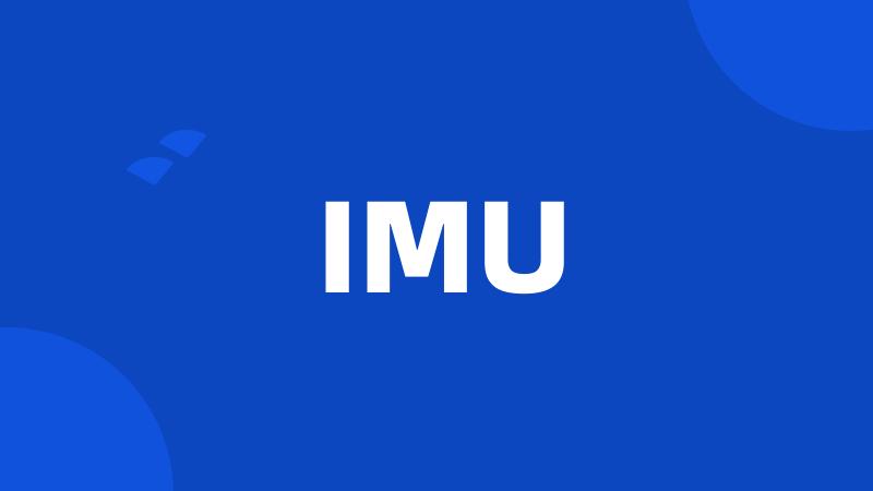 IMU