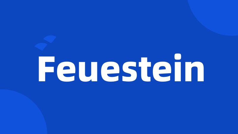 Feuestein