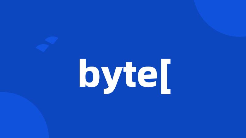 byte[