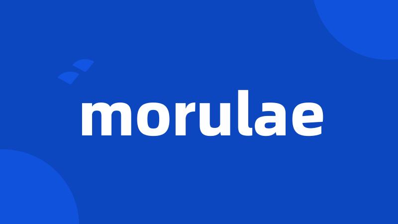 morulae