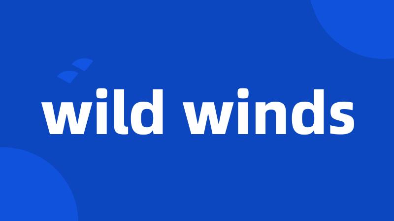 wild winds