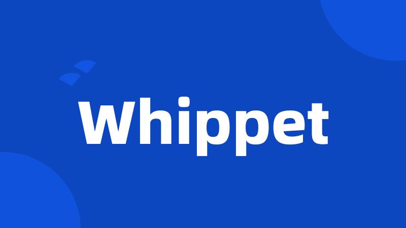 Whippet