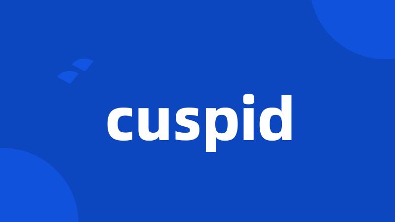 cuspid