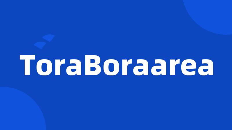 ToraBoraarea