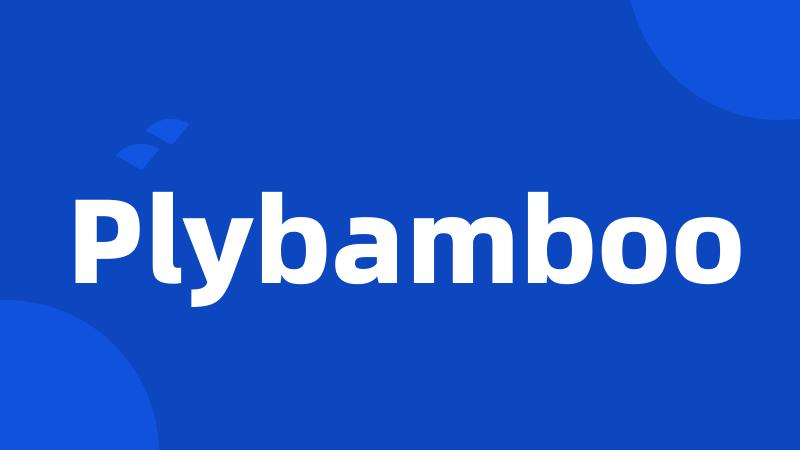 Plybamboo