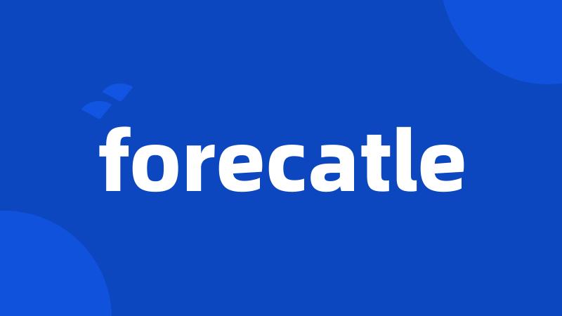 forecatle