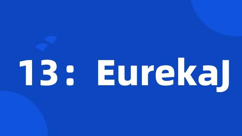 13：EurekaJ
