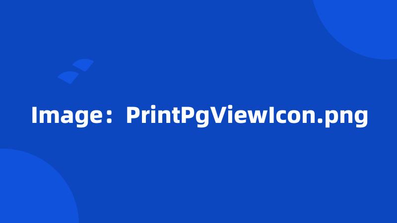 Image：PrintPgViewIcon.png