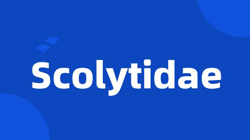 Scolytidae