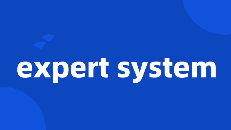 expert system