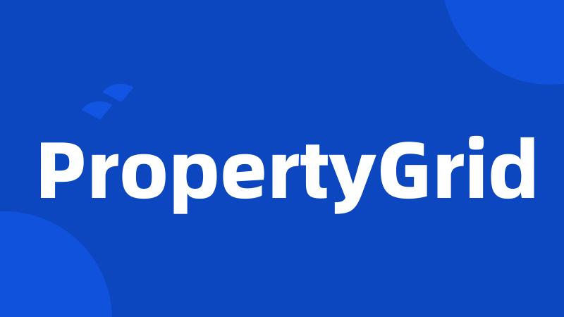 PropertyGrid