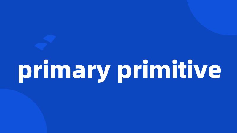 primary primitive