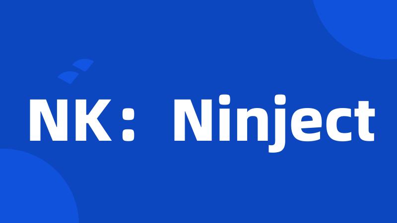 NK：Ninject