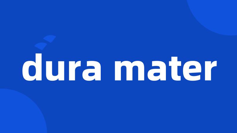 dura mater