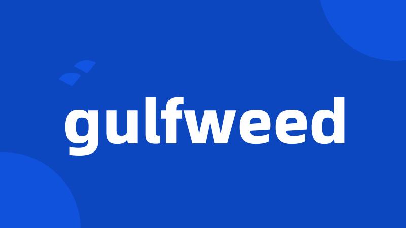 gulfweed