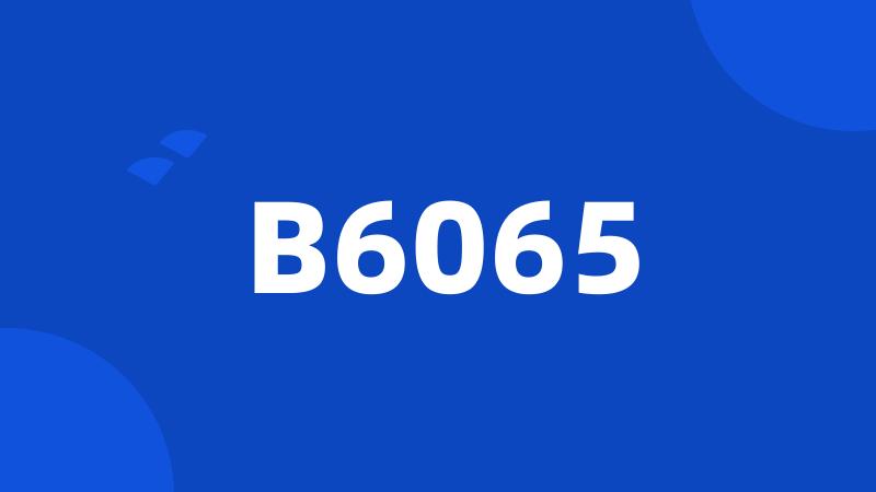 B6065