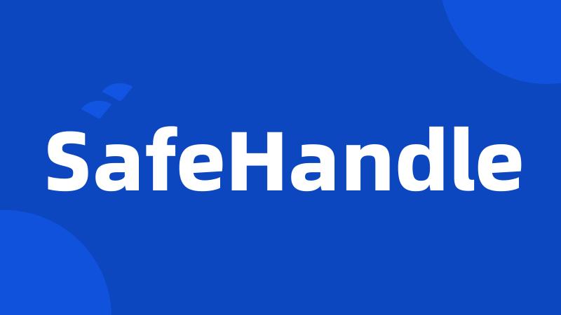 SafeHandle