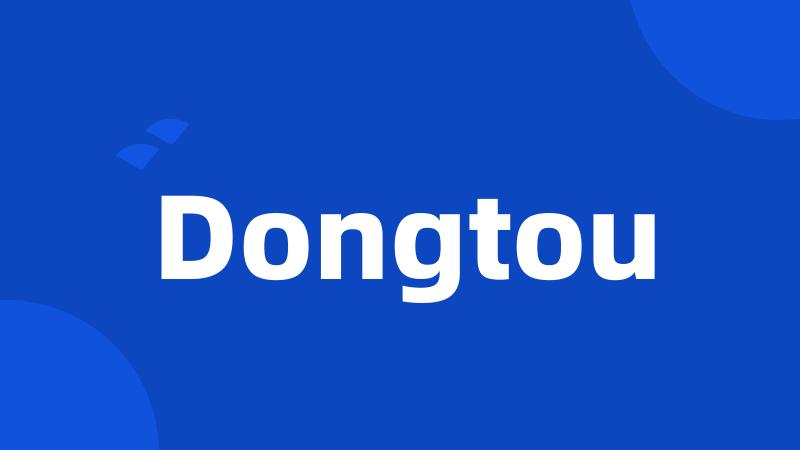 Dongtou