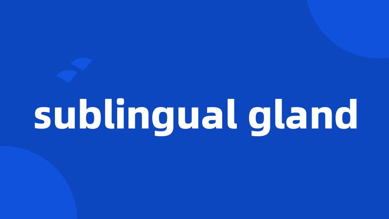 sublingual gland