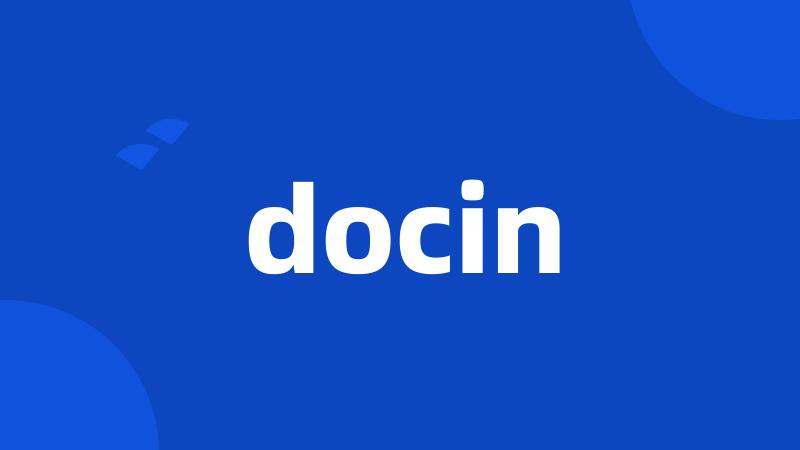 docin